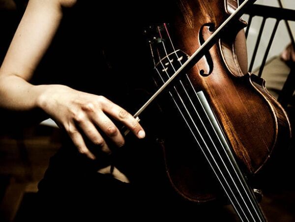 violina3 Violina - Individualna poduka